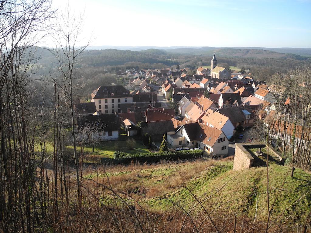 Au Pied Du Chateau Lichtenberg Pokoj fotografie