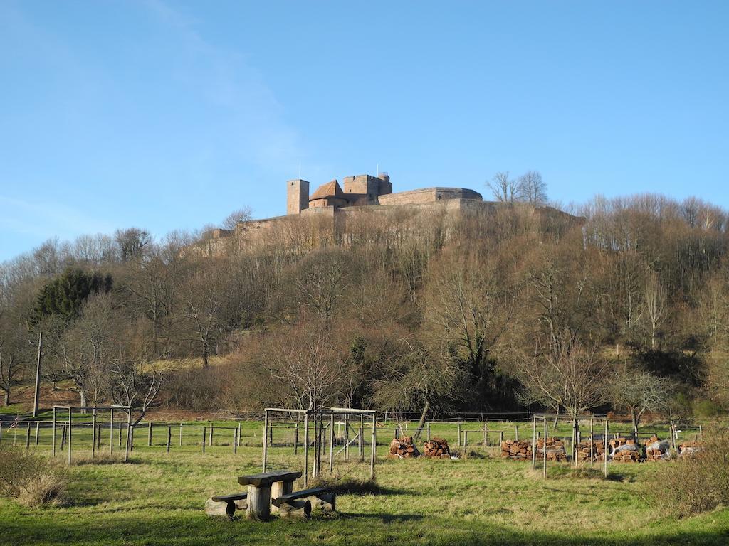 Au Pied Du Chateau Lichtenberg Pokoj fotografie